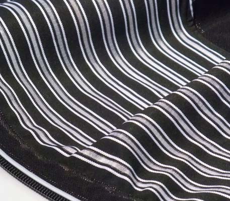 �p�W�F���X�|�[�c�̃W���[�W