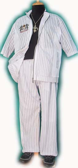 �p�W�F���̃Z�b�g�A�b�v