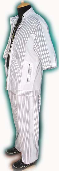 �p�W�F���̃Z�b�g�A�b�v